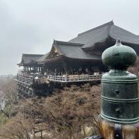 京都⛩ 奈良🦌