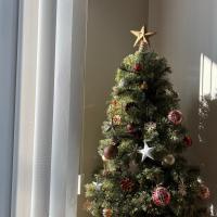 憧れのクリスマスツリー