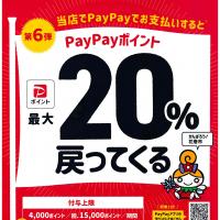 花巻市×Pay Pay がんばれ花巻応援キャンペーン　第6弾！